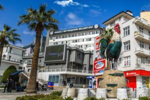 Denizli Büyükşehir Belediyesi Yardım Başvurusu