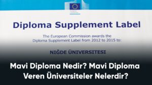 Mavi Diploma Veren Üniversiteler ve Bölümleri