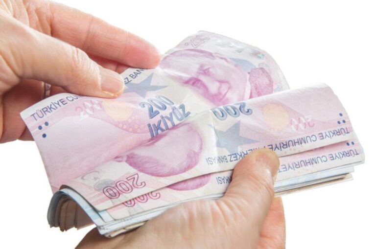 SED Yardımı Ne Zaman Yatacak? Ne Kadar? Sorgulama
