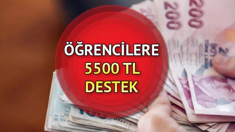 Başarı Teşvik Programı Nedir? E-Devlet Başvurusu ve Başvuru Formu