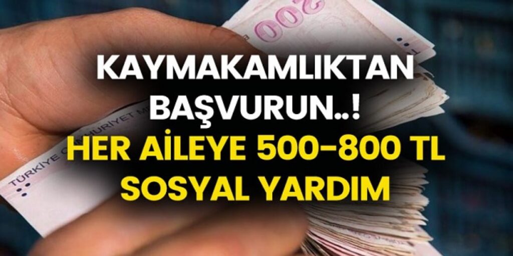 1500 TL Yardım Başvurusu ve E-Devlet Başvuru Formu