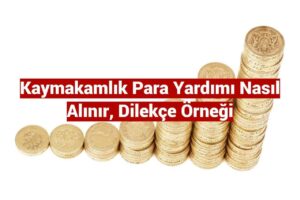 Kaymakamlık Para Yardımı Başvurusu Nasıl Yapılır? Başvuru Formu