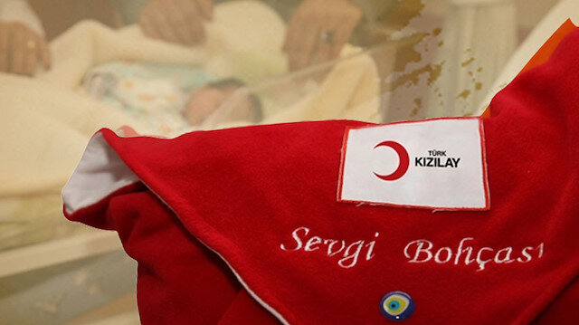 Kızılay Doğum Yardımı Başvurusu, Başvuru Formu ve Sorgulama