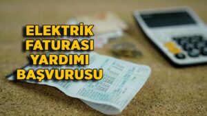 PTT Elektrik Yardımı Başvurusu Nasıl Yapılır? E-Devlet Başvuru Formu