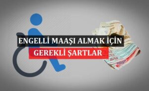 Engelli Maaşı Almak için Gerekli Şartlar