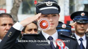 POMEM Olmak için Kaç Puan Gerekli? Gerekli Şartlar